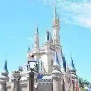 えむ⭐︎プロフ必読即購入不可の画像