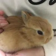 mmの画像