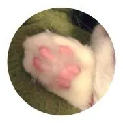 りょこぴ