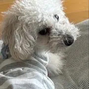 ＊MUU＊の画像