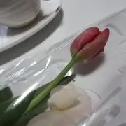 よっちゃん