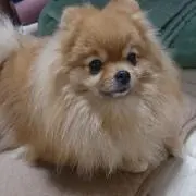 いっちゃん