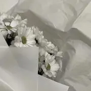 f.の画像