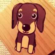 ローリータンク500L 美品 取りに来ていただける方 - メルカリ