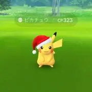 DAMの画像