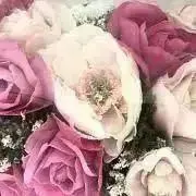 ☆kira☆ セール中　まとめ買い可！の画像
