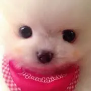 michi♪