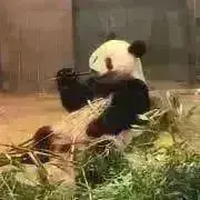 Yの画像