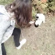 るる@