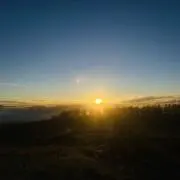 むむの画像