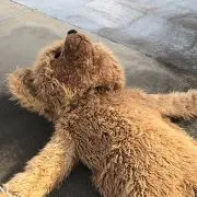 Ｕ《おまとめ割します》