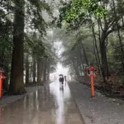 リナの画像
