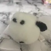 ENAGAの画像