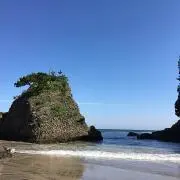 Image of マーチン