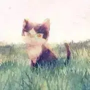 はちわれの画像