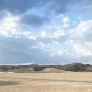 即購入可★SYの画像
