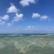 f_su-sanの画像