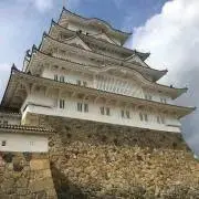 おおたけの画像
