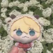 鴨の画像