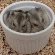 ☆モナカ大福おもち☆