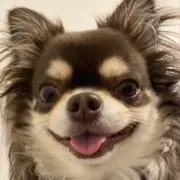 さとまる ☆プロフ必読☆の画像