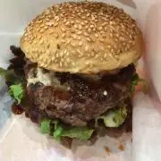 センゴクエース