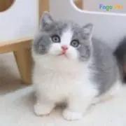 中村