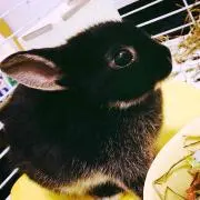 mai☆YNWAの画像