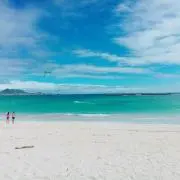 sakiの画像