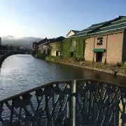 みーの画像