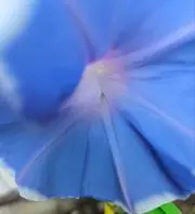 haru-s_r発送来週以降の画像