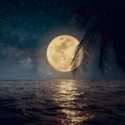 十六夜の画像