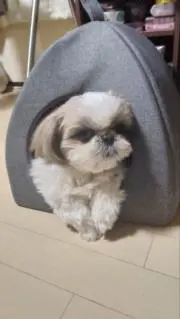 ミキティ
