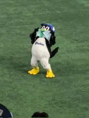 あかあしの画像