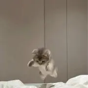 ペン卒の画像