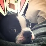 Ta yrpm