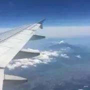 ari-elの画像