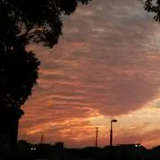あかねの画像