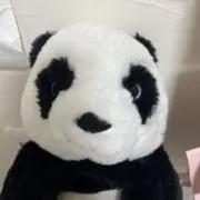 アナの画像