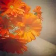 and