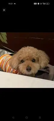 ☆める☆即購入OKまとめ割りご相談下さいの画像