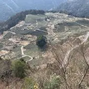 豚汁