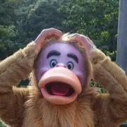 さこ★プロフィール必読ください♬*゜の画像