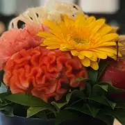 トキ【プロフ必ずお読みください】の画像