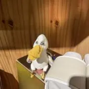 akoの画像