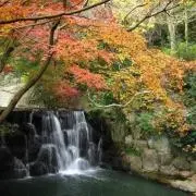 huroの画像