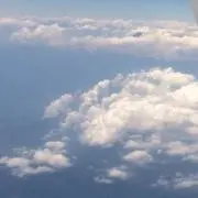 み〜たん