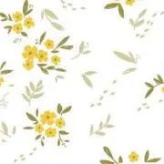 mimosaの画像