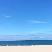 コテツ