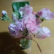 PHS☆の画像